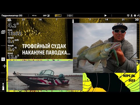 Видео: Охота на ТРОФЕЙНОГО СУДАКА перед паводком на НИЖНЕЙ ВОЛГЕ.