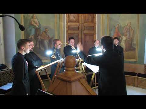 Видео: 13 Милость мира (Чесноков, ор 27 № 6 Киевское)