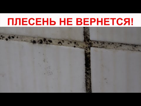 Видео: ПЛЕСЕНЬ БОЛЬШЕ НЕ ВЕРНЕТСЯ. Как очистить швы между плиткой от плесени простым чистящим средством