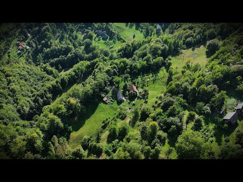Видео: Жизнь в Карпатах: История пары, оставшейся наедине с горами