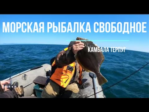 Видео: Сахалинская рыбалка камбала терпуг окунь