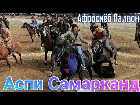 Видео: Бузкаши Деҳаи Колхозчиён Афросиёб Палвон 21.03.2022