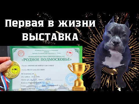 Видео: Выставка #1 Сергиев Посад (РКФ)