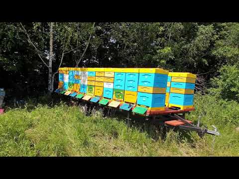 Видео: Мобильные кочевые прицепы.