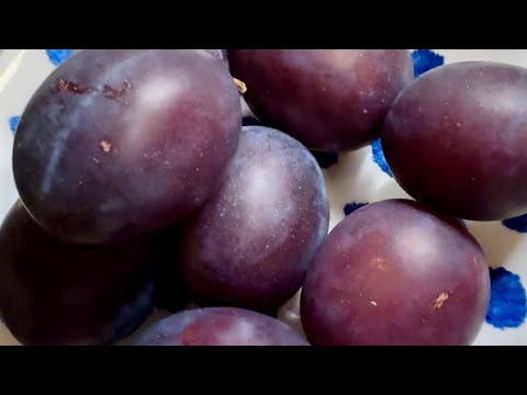 Видео: Очень вкусный заливной пирог со сливами