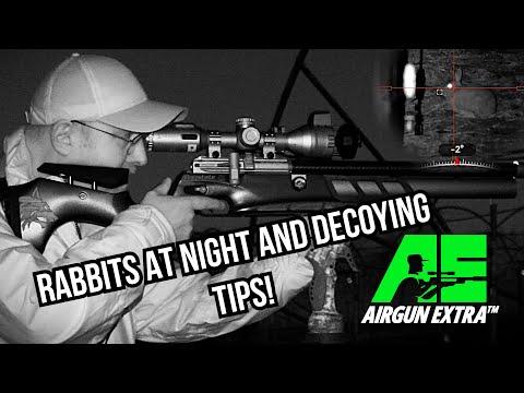 Видео: Airgun Extra | Охота на кроликов ночью | Как приманить сорок и ворон
