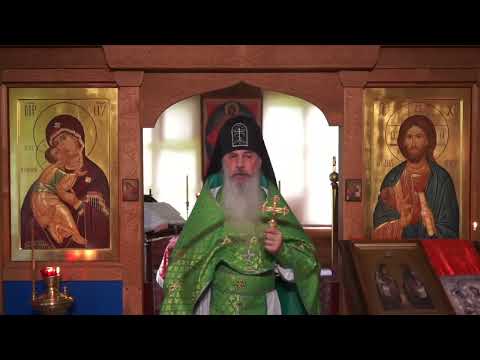 Видео: Романтики ПУСТЫНИ! #СхиигуменГАВРИИЛ (Виноградов-Лакербая) #КавказскийскитВалаама