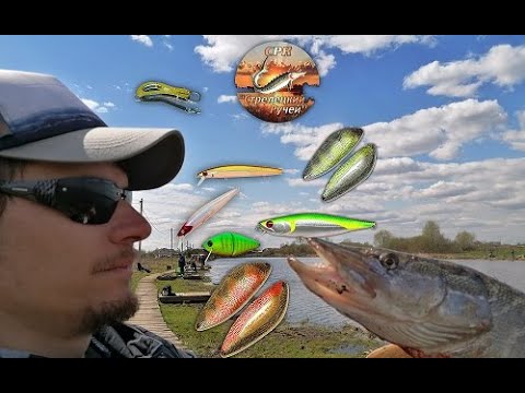 Видео: Бестия Стрелецкого Ручья