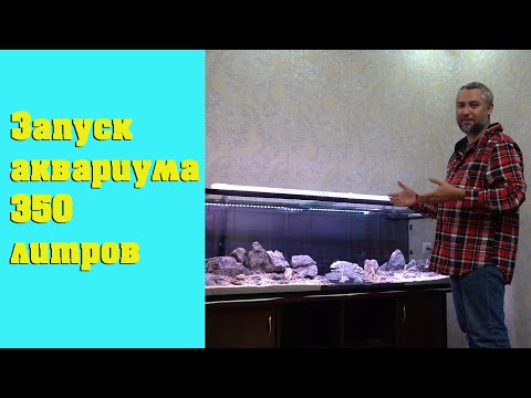 Видео: Запуск скейпа на 350л Горный массив. Часть 1 - Хардскейп