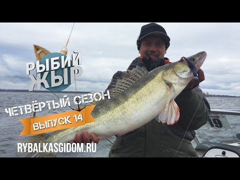 Видео: Судачье эльдорадо. Рыбалка на Нижнекамском водохранилище. Рыбий жЫр 4 сезон выпуск 14