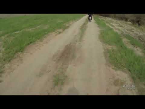 Видео: Покатушка - октябрюшка. 29.10.2023.