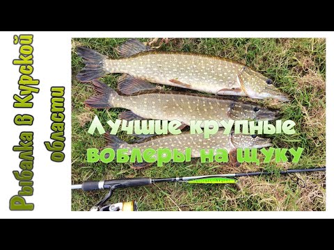 Видео: Лучшие крупные воблеры на щуку.  Мой топ сезона 2021