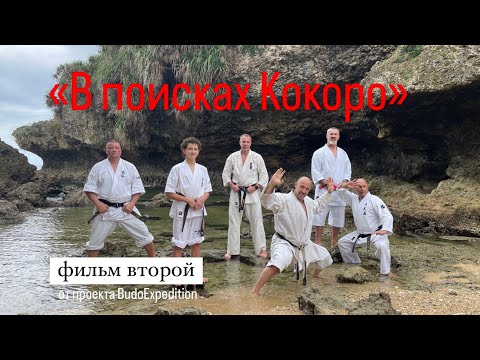 Видео: "В поисках Кокоро" фильм второй