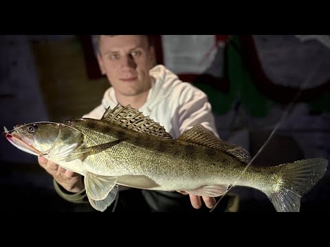 Видео: НІЧНИЙ СУДАК НА ВОБЛЕР В ЦЕНТРІ ВІННИЦІ! Потрапили на СУПЕР РОЗДАЧУ! Який воблер обрати для Судака?