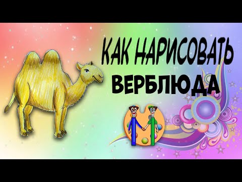 Видео: Как нарисовать верблюда. Онлайн-школа рисования "Малевашки"