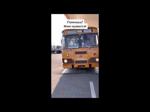 Видео: Машины - С. А.