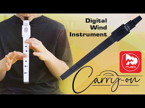 Видео: Духовой контроллер Carry-On Digital Wind Instrument (блокфлейта, миди-контроллер)