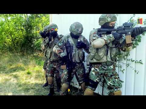 Видео: 1 пешадиска бригада