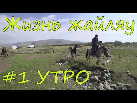 Видео: Монголия. Один день жизни казахской ЮРТЫ на жайляу. УТРО.