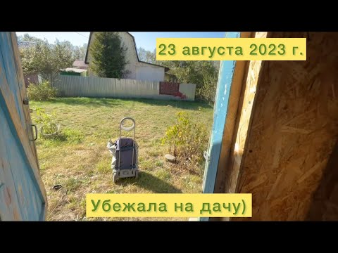Видео: Убежала на дачу)