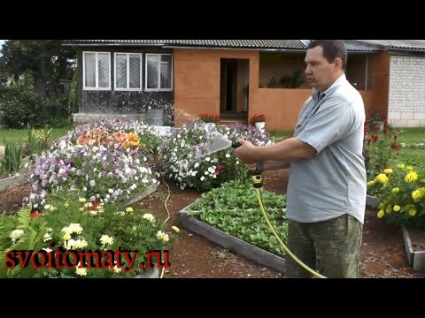 Видео: Организация полива из бочки