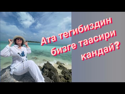 Видео: Ата-тег, жети ата менен бизде кандай байланыш?