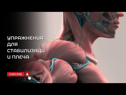 Видео: Боль в плече. Упражнения для стабилизации плеча #больвплече