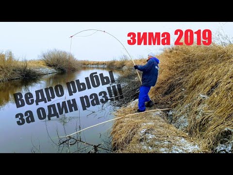 Видео: Ведро рыбы за один подЪем  ЁКЛМН!!!  Рыбалка на паук с подводной камерой Calypso. Рыбалка на каряся.