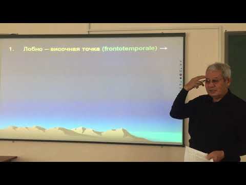 Видео: Методы определения высоты центральной окклюзии 4 курс