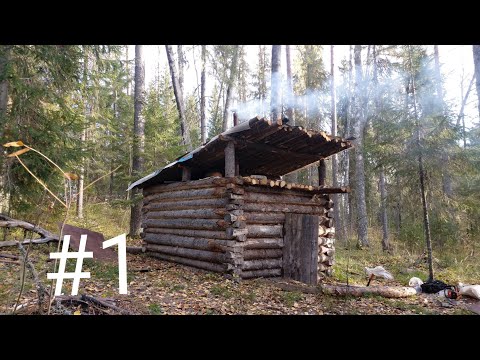 Видео: ТАЁЖНЫЙ БЫТ В СТАРОЙ ИЗБЕ. ЧАСТЬ 1. СДЕЛАЛ ПОЛКУ И НАЛАДИЛ КРЫШУ.