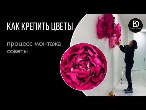 Видео: На что крепить Цветы к стене? Советы по монтажу. МИФЫ И РЕАЛЬНОСТЬ