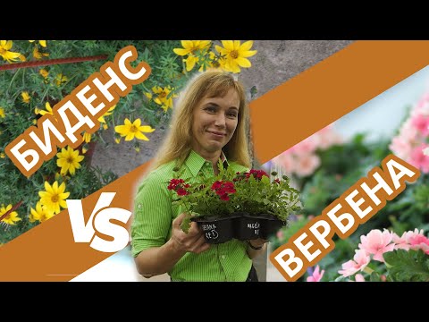 Видео: Лучшие летники сезона