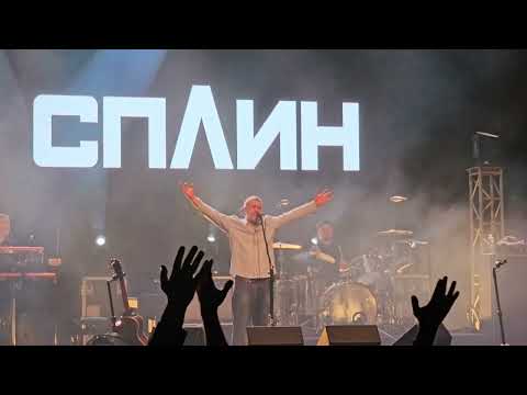 Видео: Сплин - Выхода нет (Белград, 23.03.2024)