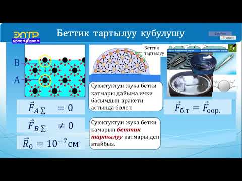 Видео: 8-класс | Физика |  Беттик тартылуу. Беттик тартылуу күчү