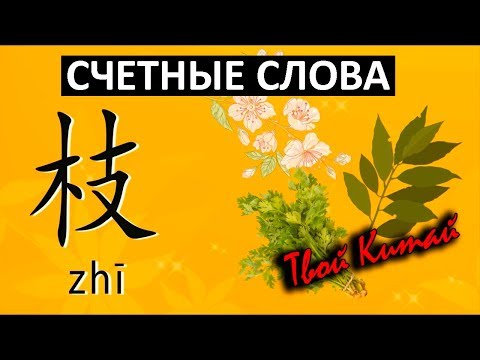 Видео: Счетные слова в китайском языке -  枝 zhi | Видеоуроки китайского языка