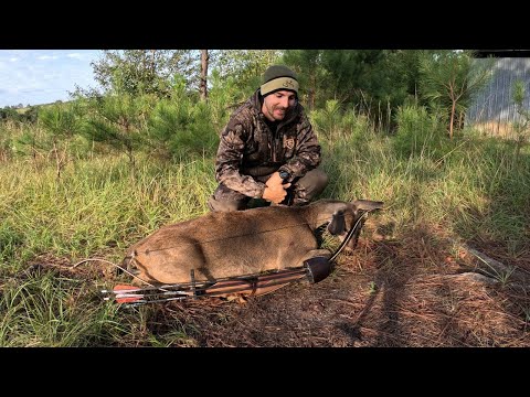 Видео: Охота на оленя с 35-фунтовым рекурсивным ружьём! *Выстрел на 10 ярдов*