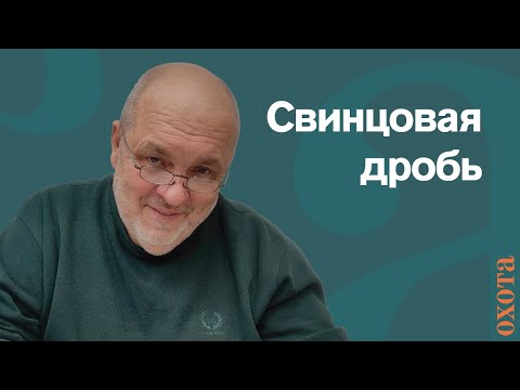 Видео: Свинцовая дробь. Валерий Кузенков о запрете свинцовой дроби.