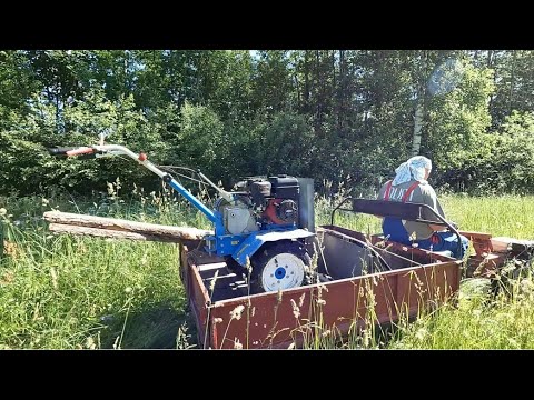 Видео: Скосил 0,5 гектара за 3 часа. Косилка Заря. Лиго.