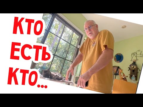 Видео: Ух! Маланьина свадьба! #usa #сша #натальяфальконе 