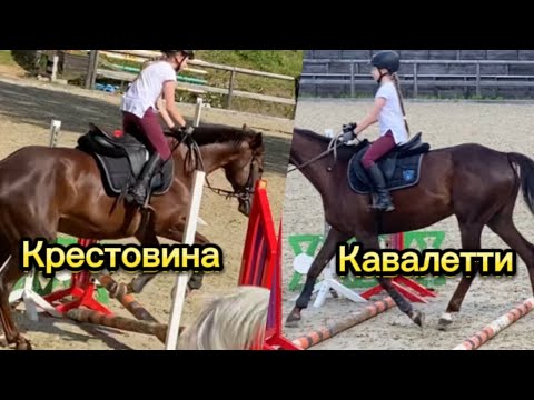 Видео: Первый барьер | кавалетти | крестовина |