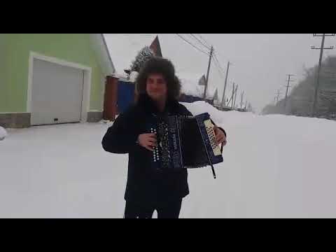 Видео: Песни под гармонь в деревне.