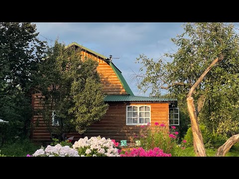 Видео: ОДИН в ДЕРЕВНЕ Спокойная летняя жизнь с огородом и котами