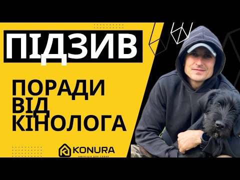 Видео: НАВЧИ СОБАКУ ПІДХОДИТИ ПО КОМАНДІ;)
