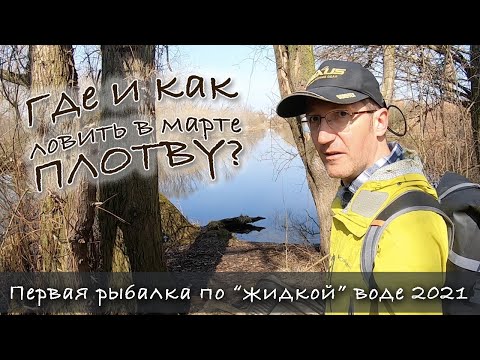 Видео: Ловля плотвы ранней весной на поплавок - это просто! | Поплавочная рыбалка для новичка