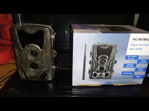 Видео: Настройка фотоловушки Suntek HC-801 M/G, 801- 810LTE и другие. Новое видео  2025 на моём канале.