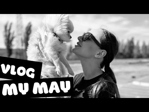 Видео: VLOG MAY ☀️ Месяц событий, активной работы и роста