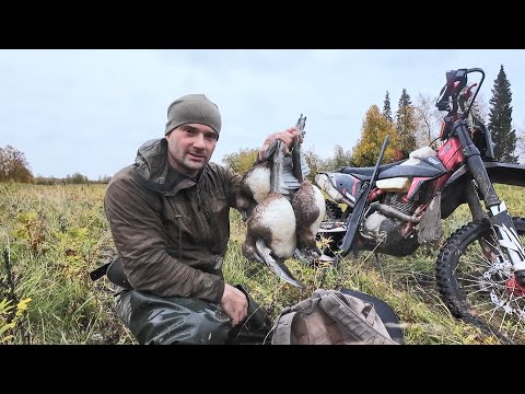 Видео: ОХОТА НА УТКУ НЕ ДЛЯ СЛАБАКОВ. НЕ КАЖДЫЙ ПОЙДЕТ ТАК ОХОТИТСЯ. С ПОДХОДА НАСТРЕЛЯЛ РЮКЗАК УТОК.