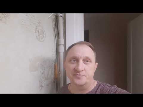 Видео: Крапчатый высокоплавничный коридорас разведение.  часть 2 я