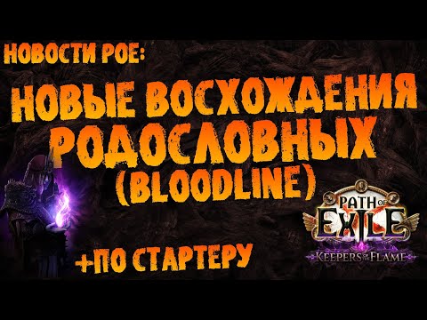 Видео: Новости PoE | Новые восхождения Родословных / Bloodline Ascendancy | PoE 3.27 Keepers of the Flame