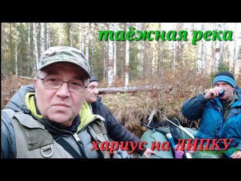 Видео: Рыбалка на таёжной реке. Ловля хариуса на липки в октябре.